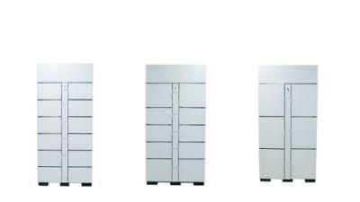 Rolled Steel Password DC Plywood Case Cold Storage Parcel Locker