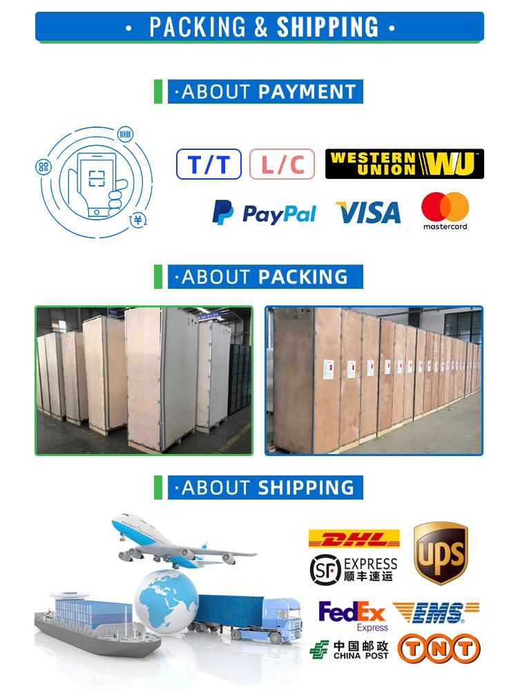 Customized Cold Rolled Steel DC Plywood Case 36 Door Locker