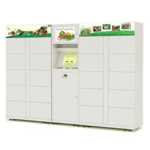 24/7 Food Delivery Electronic Chilled Storage Locker