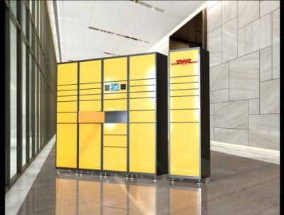 DC Password Plywood Case CE, ISO Electronic Gym Lockers Locker