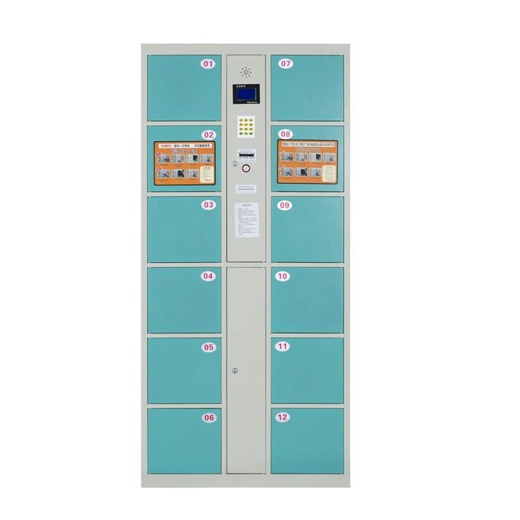 Smart Locker Luggage Parcel Locker Steel Locker Room Metal Cabinet