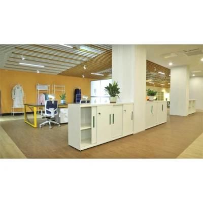 Reliable and Cheap Steel Cabinet Office Furniture with Professional Services