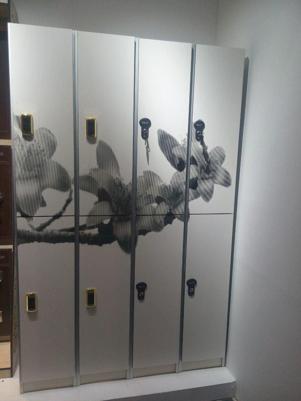 Compact Laminate HPL Phenolic Board Locker with Key