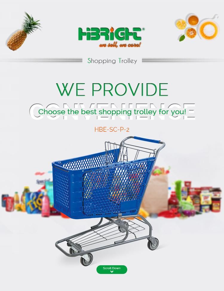 Hot Sale Plastic Supermarket Shopping Trolleys with Metal Frame