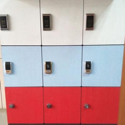 School Furniture Fingerprint Lock Gym RFID Locker Cabinet