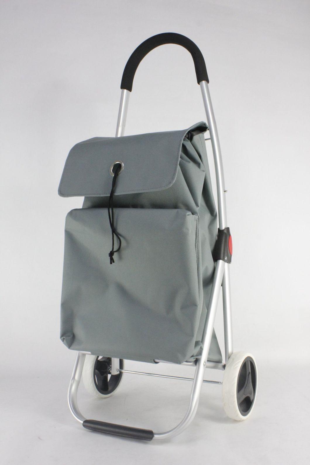 2020s Top Hot Sale New Style Two Wheels Foldable Shopping Trolley Carts