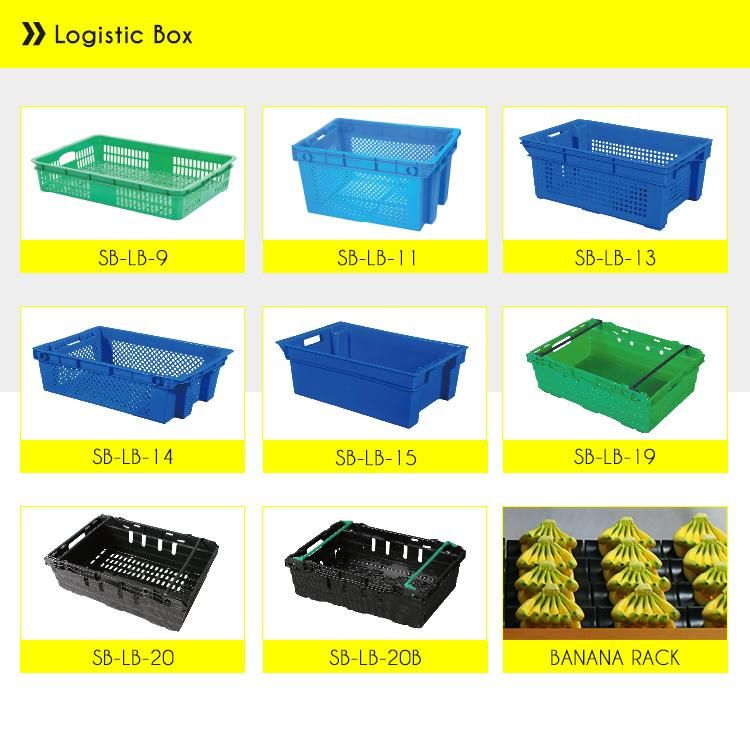 Supermarket Fruit Vegetable Double Side Display Rack