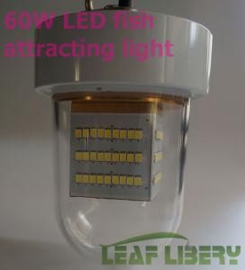 60W LED Ice Fishing Lure Light, Ice Fishing House LED Lights, Ice Fishing Lights LED