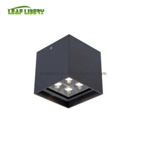 Hotel Outdoor Class I IP65 12W SMD Aluminum LED Ceiling Lamp Ceiling Light Modern Light