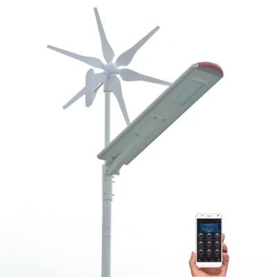 Commercial Wholesale Outside Wireless Full Power Working Wind Turbine and Solar Street Light