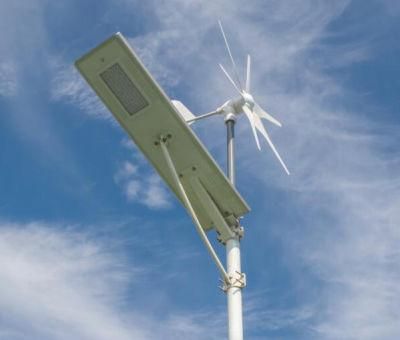 100% Power Working 50W 60W 80W Hybrid Wind Solar Street Light All in One