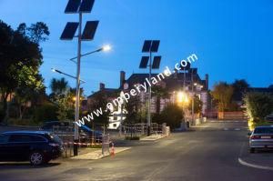 110W High Lux Solar Street Lighting with Ce&RoHS&FCC