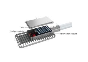 High Lumen Good Quality 30W Wireless PWM Controller Rechargeable Battery Inside Solar Street Light