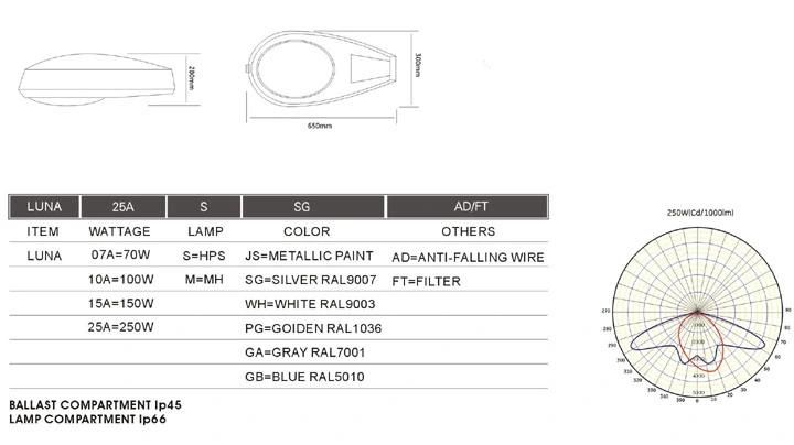 HID Sodium Street Light/Cobra Head Luminaire