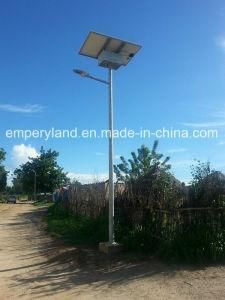 6m 40W Solar Powered Street Light with Solar Control System (DZS-06-40W)