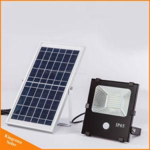 Solar Spotlight Motion Sensor Solar Flood Light for Outdoor Lighting with 10W/20W/30W/50W/100W
