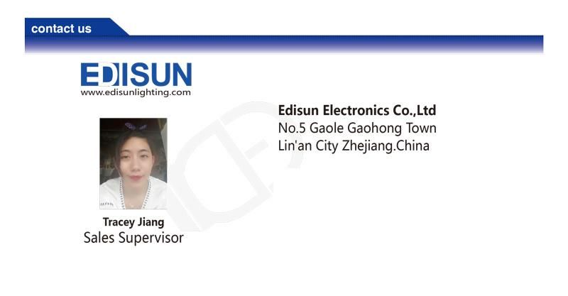IP65 4W RGBW Decorative Solar Panels Lights