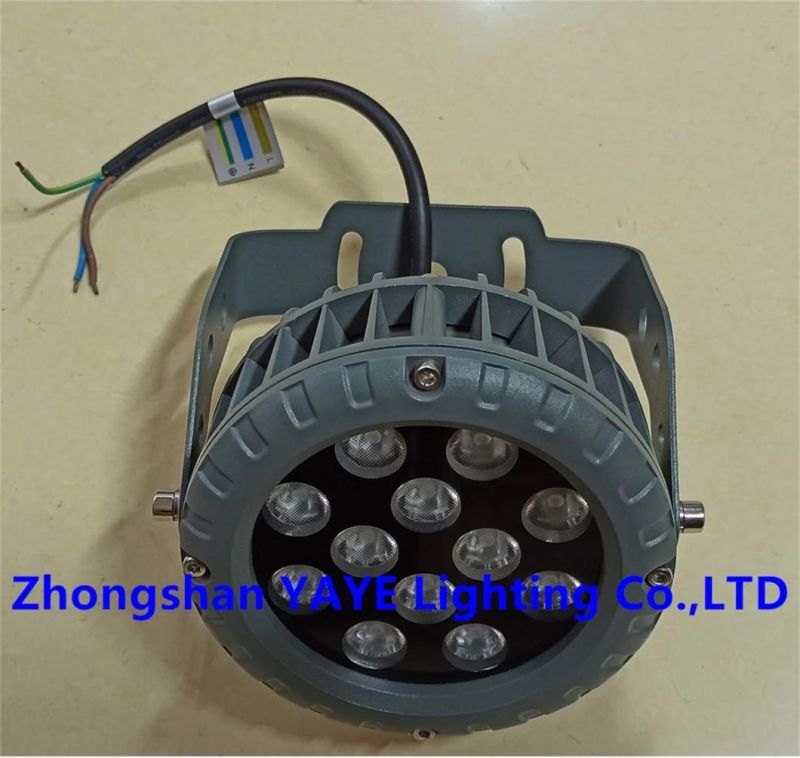 Yaye 2022 Hottest Sell 24W Outdoor Waterproof IP67 LED Spotlight with 3 Years Warranty/1000PCS Stock (9W/12W/18W/24W/36W/48W Available)
