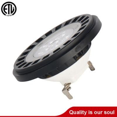 LED PAR36 Spotlight for Landscape Lighting