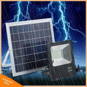 Solar LED Outdoor Floodlight for Garden and Family Yard Flood Light