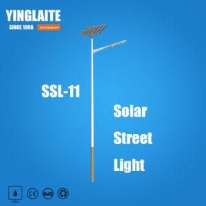 5 Years Warranty IP65 Waterproof 6m Pole 40W Solar Street Light