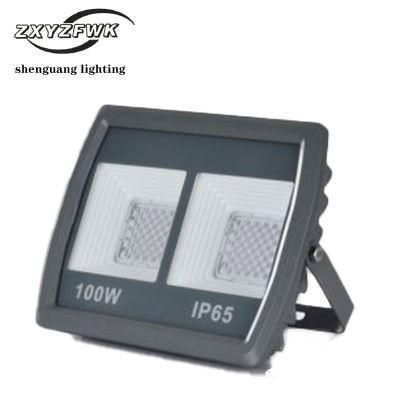Lbw Model 100W Energy Saving Outdoor LED Light with Elegant Design of Shenguang Brand