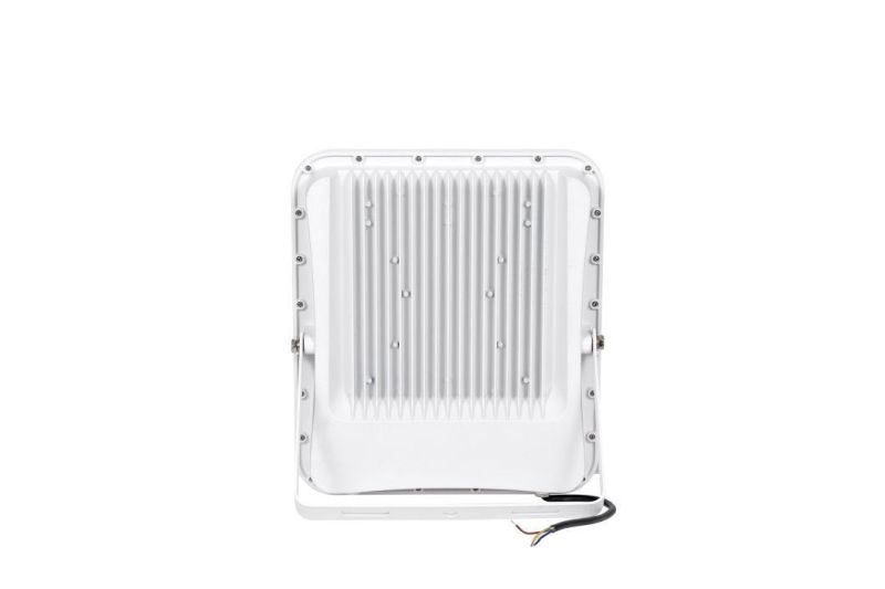 Distributor High Lumens 2 Years Warranty Super Competitive Modular Floodlight Sports Feild Lighting 100W LED Tunnel Light 100W LED Flood Light