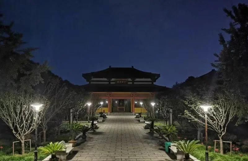 Hot Sale Garden Light LED Home Yard Park Decoration Garden Solar Light