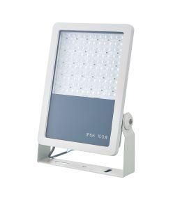 Outdoor Waterproof IP66 LED Flood Light for Garden