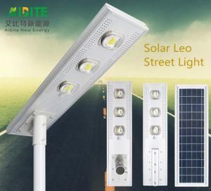 20W / 40W / 60W / 80W / 100W 2-in-1 / Integrated LED Solar Street Light with Lithium Battery