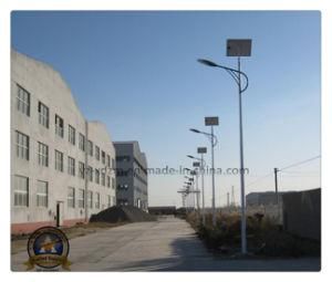 Solar Street Light with LED/Sodium Light Source