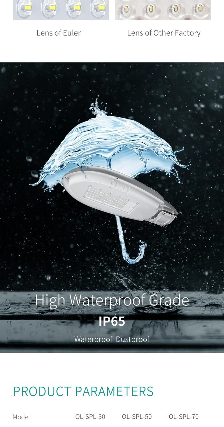 Solar Integrated 30W Light for Main Road and Outdoor Lighting LiFePO4 Battery 8 Years Warranty