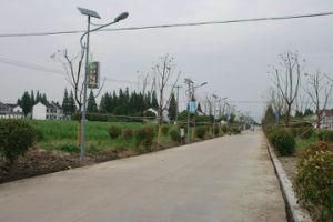 80W IP68 Solar Street Light High Lumen