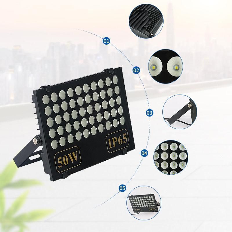 China Factory Wholesale Quality High Power Outdoor IP66 30W 50W 100W 150W 200W Football Field Sport Court Stadium High Mast Pole LED Floodlight