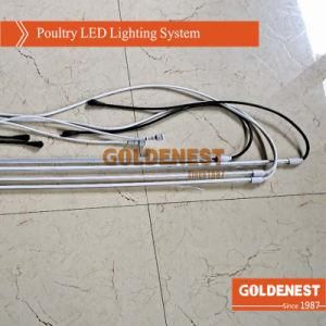 Poultry Farm LED Light