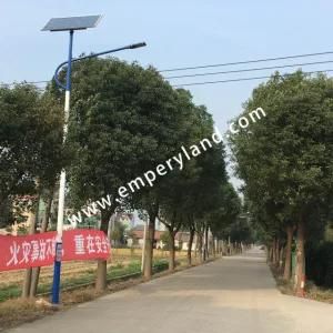 30W Ce&RoHS Energy Solar LED Street Light