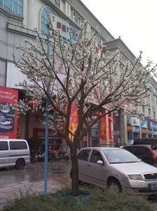 Landscape LED Tree Light Plastic Fruit Flower Decoration Tree Lighting Lamp