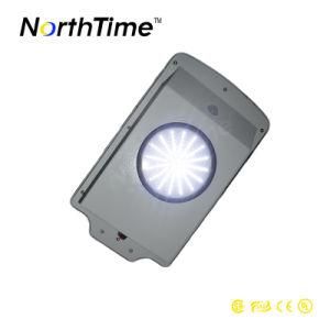 Integrated 6W with Solar Panel Solar LED Garden Light