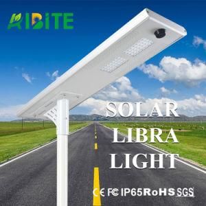 Outdoor Solar Products Energy-Saving LED Street Garden Motion Sensor Light