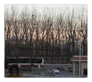 LED Solar Street Light with 15 Years Experience