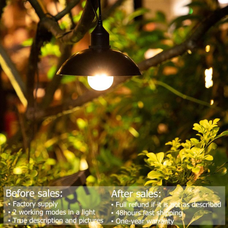 Solar Pendant Light
