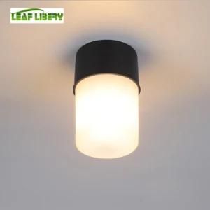 IP65 Ceiling Lamp Waterproof Outdoor Ceiling Lighting Outdoor Ceiling Light Ceiling Light