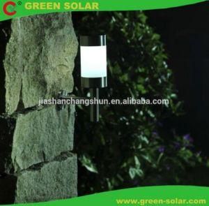 Stainless Steel Solar Garden Light for Path Step Way Yard