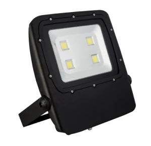 Outdoor IP66 Waterproof Dimmable Color Changing 2700K-6500K 2000lms Flood Lights