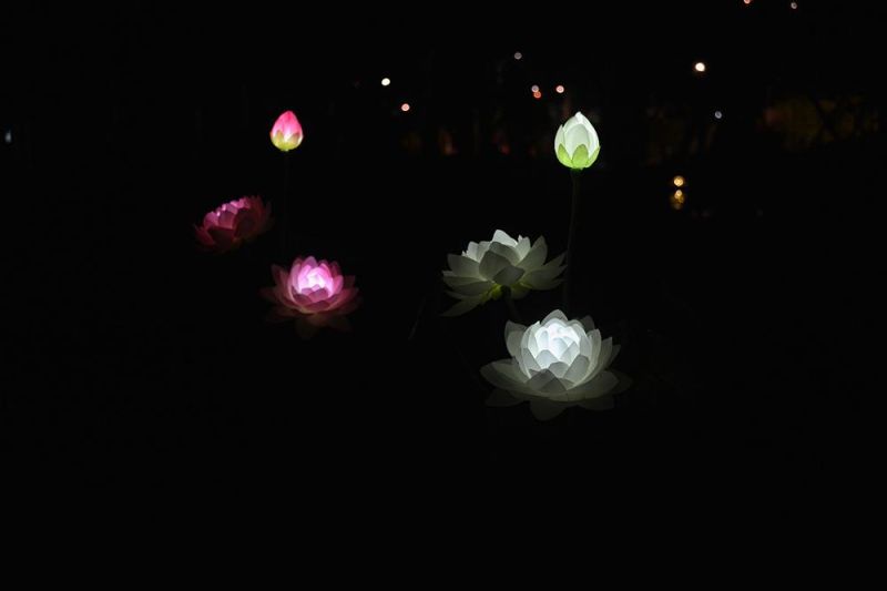 LED Waterproof Solar Lamp Lotus Flower Shape Lawn Lamps 3 LED Lighting Lamp for Outdoor Garden Backyard Pathway Lawn Decoration Wyz16582