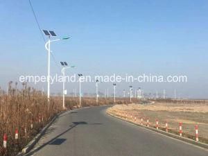 Prices of Best Supplier 80W Solar Power Street Light