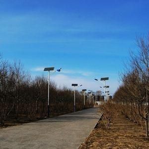 Hye Street Lighting System Solar Street Light