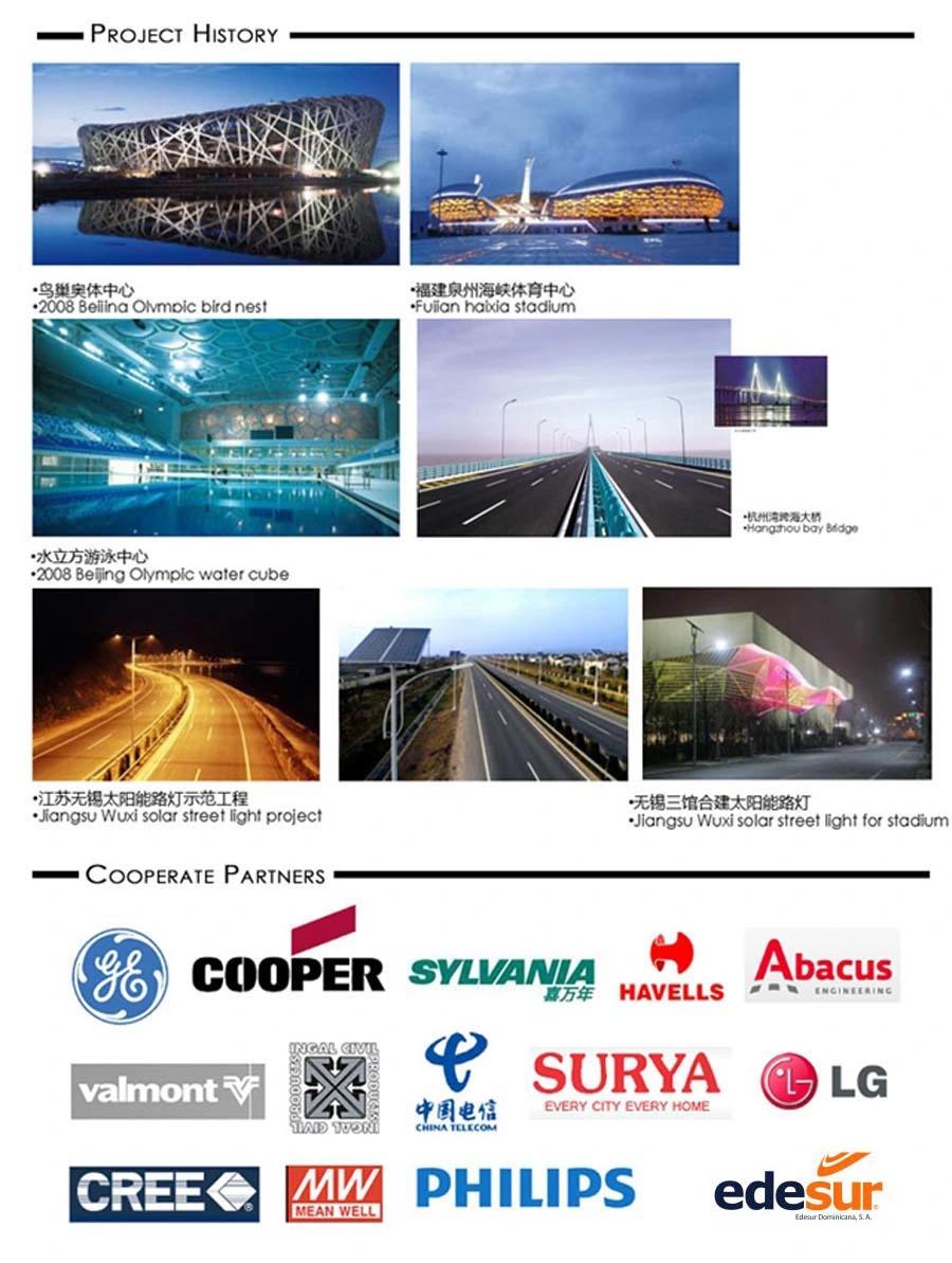 HID Sodium Street Light/Cobra Head Luminaire