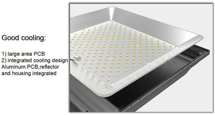 Outdoor IP65 Ce RoHS SAA LED Flood Light (RB-FLL-100WS)