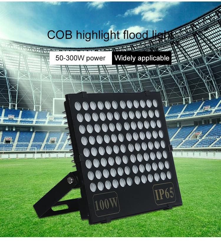 China Factory Wholesale Quality High Power Outdoor IP66 30W 50W 100W 150W 200W Football Field Sport Court Stadium High Mast Pole LED Floodlight